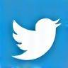 Twitter icon