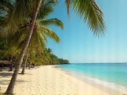 Tropical beach location in India